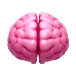 Brain